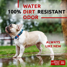 Load image into Gallery viewer, WAUDOG Adjustable Waterproof Dog Collar with Plastic Buckle and QR Dog Tag BLUE MEDIUM