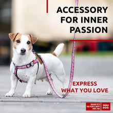 Load image into Gallery viewer, Nylon Dog Leash for Small Dogs and Medium Dogs 4 Ft Strong Dog Leash for For Pet With Love