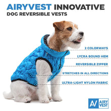 Load image into Gallery viewer, AiryVest Lightweight Reversible Water Resistant Puffer Dog Jacket LARGE Blue/Black For Pet With Love
