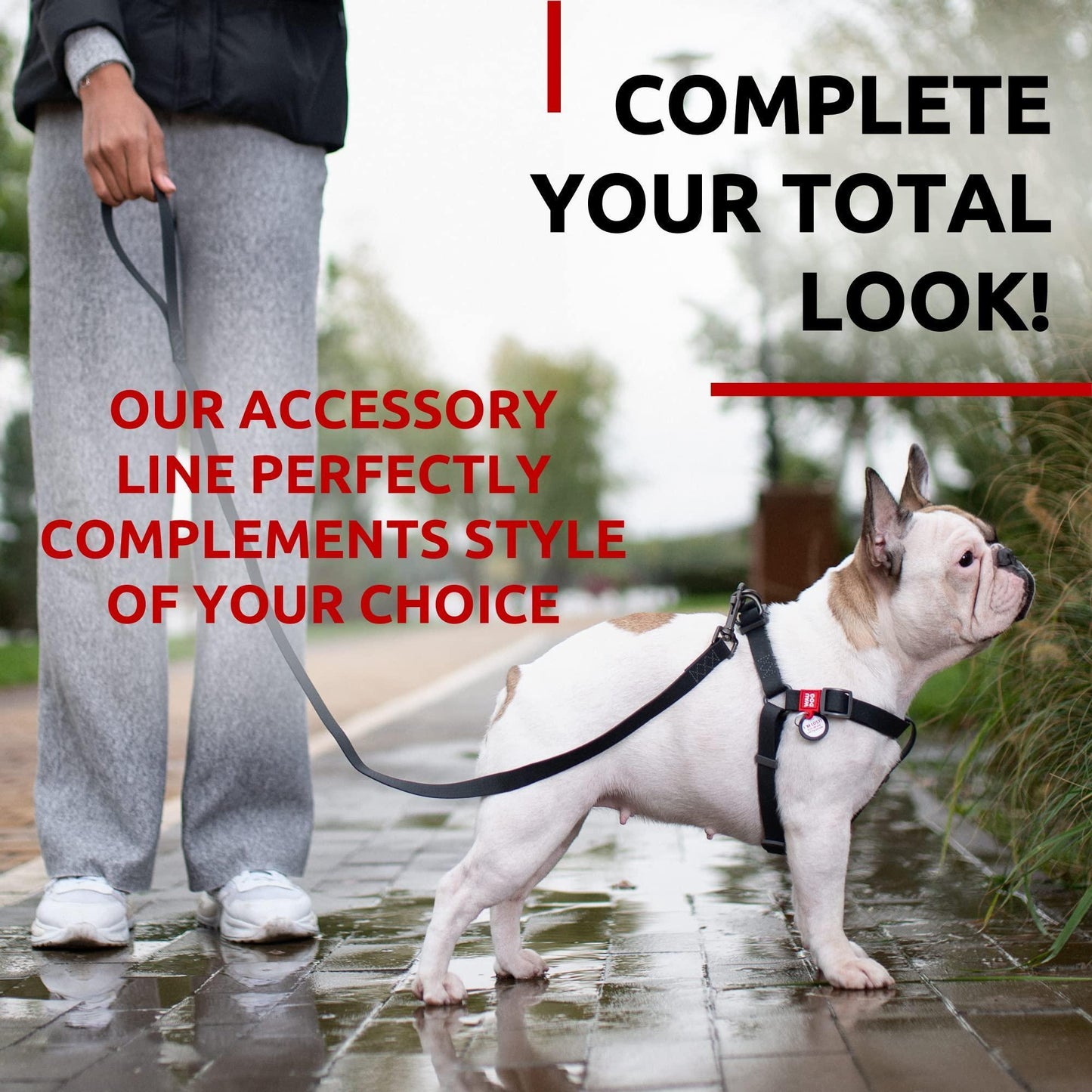 Waterproof Dog Leash 4 Ft 6 Ft Anti Slip Dog Leash for Large Dogs Small and For Pet With Love