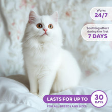 Load image into Gallery viewer, Beloved Pets Relaxiv Calming Pheromone Spray & Scratch Repellent for Cats. Reduces Furniture Scratching, Fighting and Hiding. Helps to Relief Stress During Travel, Fireworks, Thunder, Vet Visits. 50mL