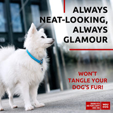 Load image into Gallery viewer, WAUDOG Ultra Soft Rolled Leather Soft Padded Dog Collar. BLUE. X-Small For Pet With Love