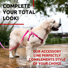 Load image into Gallery viewer, Waterproof Dog Leash 4 Ft 6 Ft Anti Slip Dog Leash for Large Dogs Small and For Pet With Love