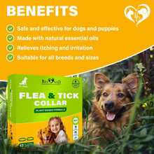 Load image into Gallery viewer, Beloved Pets Natural Anti Fleas and Ticks Essential Oil Repellent Collar for Dogs. 6 Months Control of Best Prevention & Safe Treatment. (Pack of 2) For Pet With Love