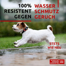 Load image into Gallery viewer, WAUDOG Adjustable Waterproof Dog Collar with Durable Metal Clasp and QR Dog Tag. BLACK. SMALL