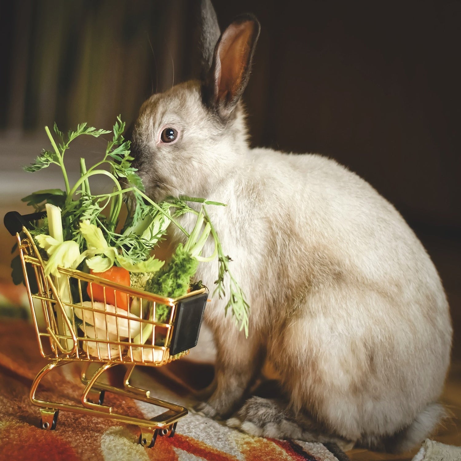 Chipmunchies For Pet With Love