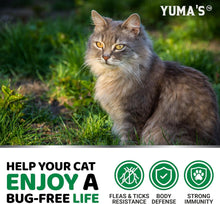 Load image into Gallery viewer, YUMA&#39;S Flea and Tick Chews for Cats
