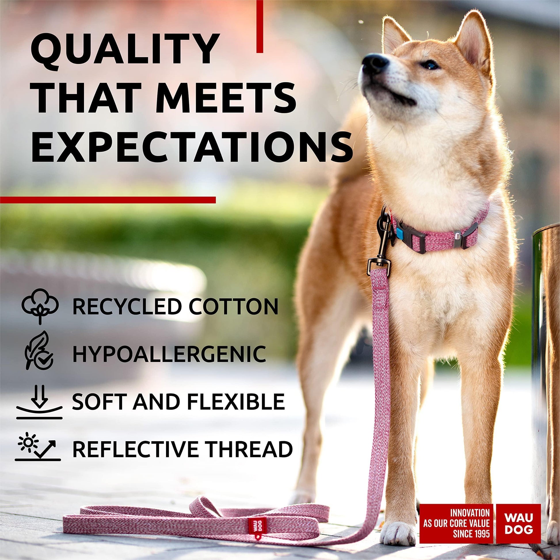 Recycled Cotton Dog Leash 6 Ft   10 Ft Eco Friendly Collar for Small Medium & For Pet With Love