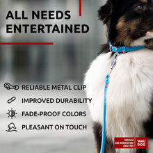 Load image into Gallery viewer, Rolled Leather Dog Leash 4Ft * 0.5 in for Small Medium and Large Dogs   Heavy
