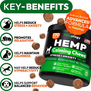 Hemp Calming Chews for Dogs   170 Dog Calming Chews   Anxiety Relief Treats