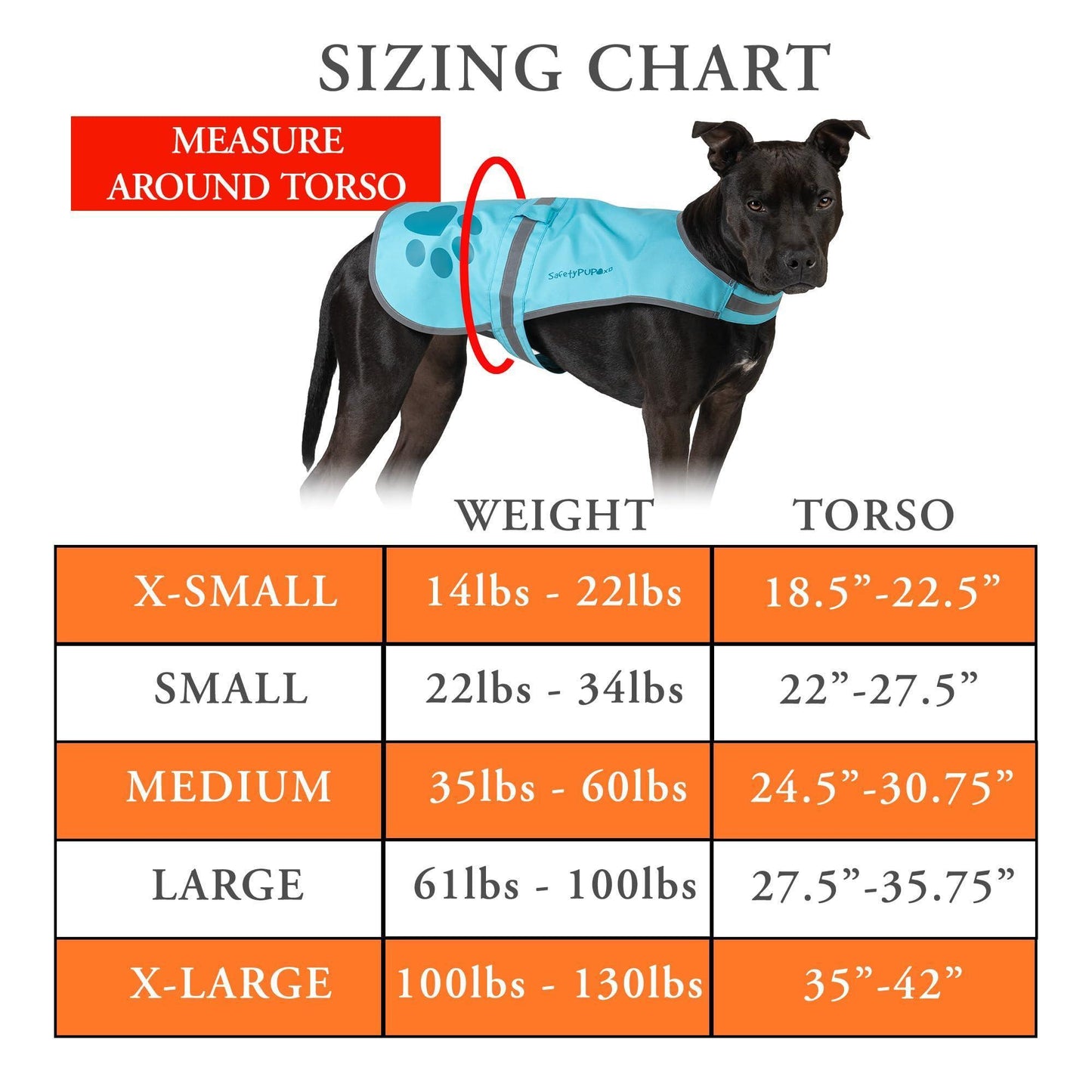 SafetyPUP XD Reflective Hi Vis Fluorescent Dog Safety Vest. Blue (LARGE) For Pet With Love
