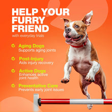 Load image into Gallery viewer, CHEWIA Hemp Glucosamine Chondroitin Hip and Joint Supplement for Dogs 180 Ct
