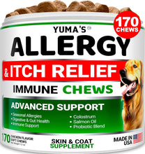 Load image into Gallery viewer, YUMA&#39;S Advanced Allergy Itching Skin Relief for Dogs. Dry Skin &amp; Hot Spots Treatment with Omega 3 Fish Oil. 170 Chews
