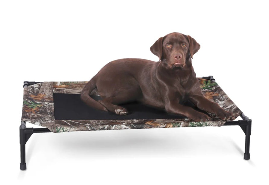 K&H Pet Products RealTree Original Pet Cot Large Camo 30 x 42 x 7 For Pet With Love