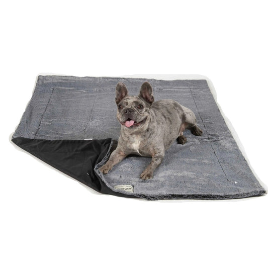 DGS Pet Products Itchy Witchy Essential Oils Blanket Large Black 40 x 50 x 0.5 For Pet With Love