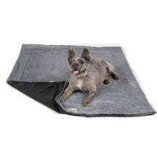 Load image into Gallery viewer, DGS Pet Products Itchy Witchy Essential Oils Blanket Large Black 40 x 50 x 0.5
