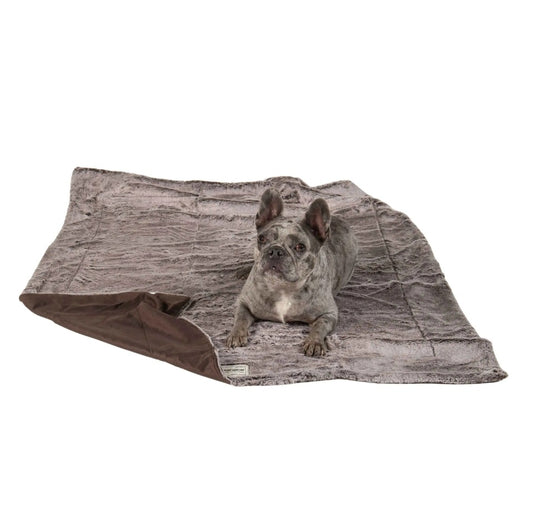 DGS Pet Products Itchy Witchy Essential Oils Blanket Large Chocolate Truffle 40 x 50 x 0.5 For Pet With Love