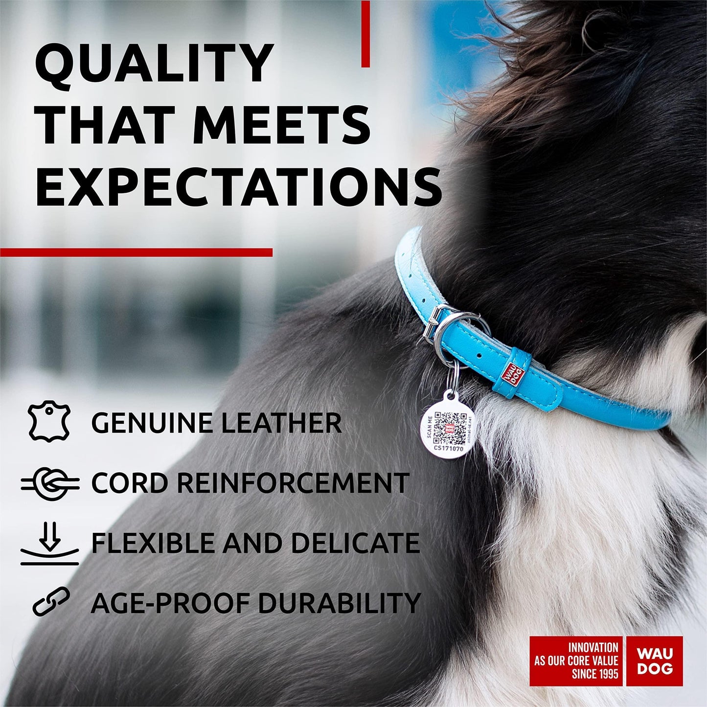 WAUDOG Ultra Soft Rolled Leather Dog Collar BLUE SMALL For Pet With Love