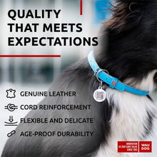 Load image into Gallery viewer, WAUDOG Ultra Soft Rolled Leather Dog Collar BLUE SMALL
