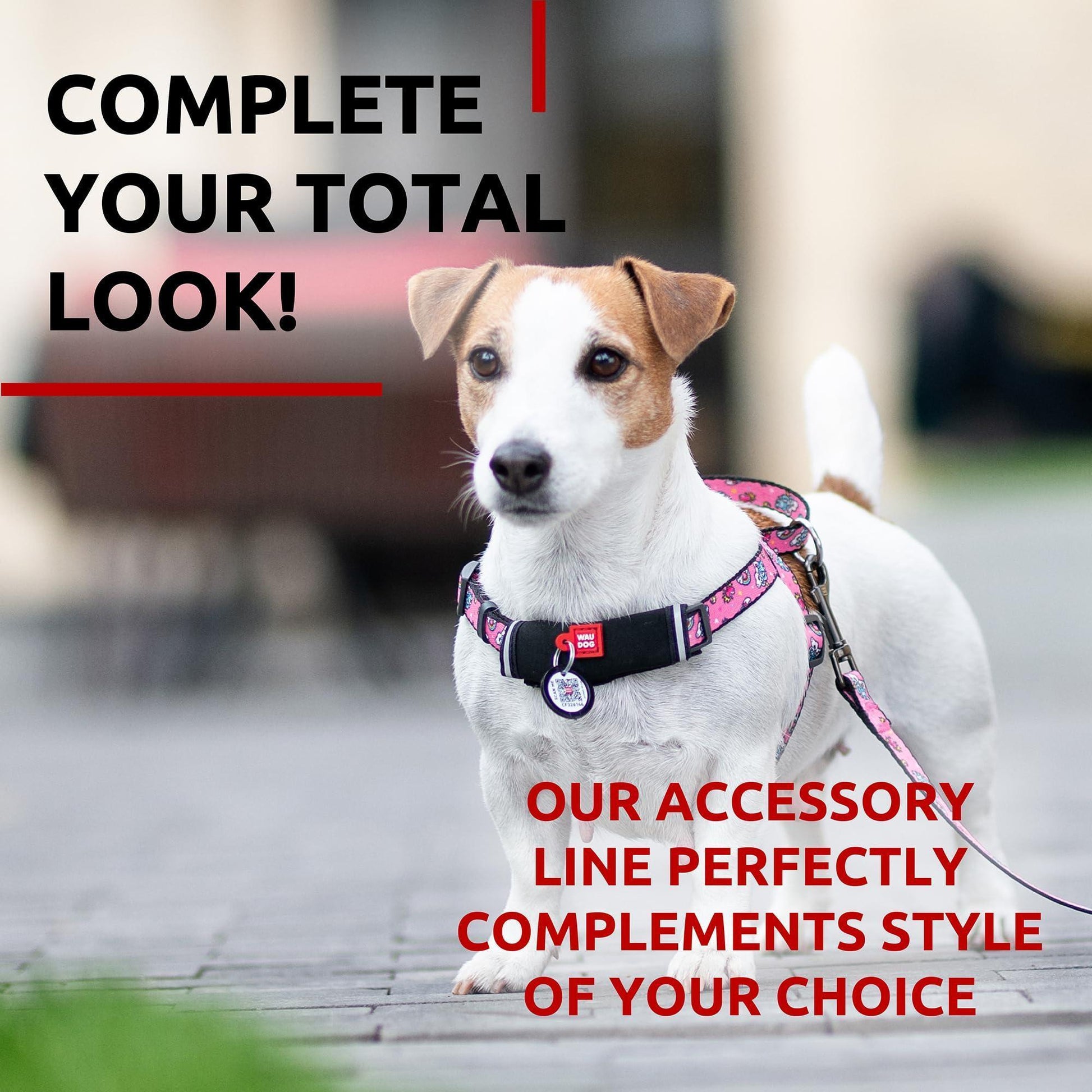 Nylon Dog Leash for Small Dogs and Medium Dogs 4 Ft   Strong Dog Leash for For Pet With Love