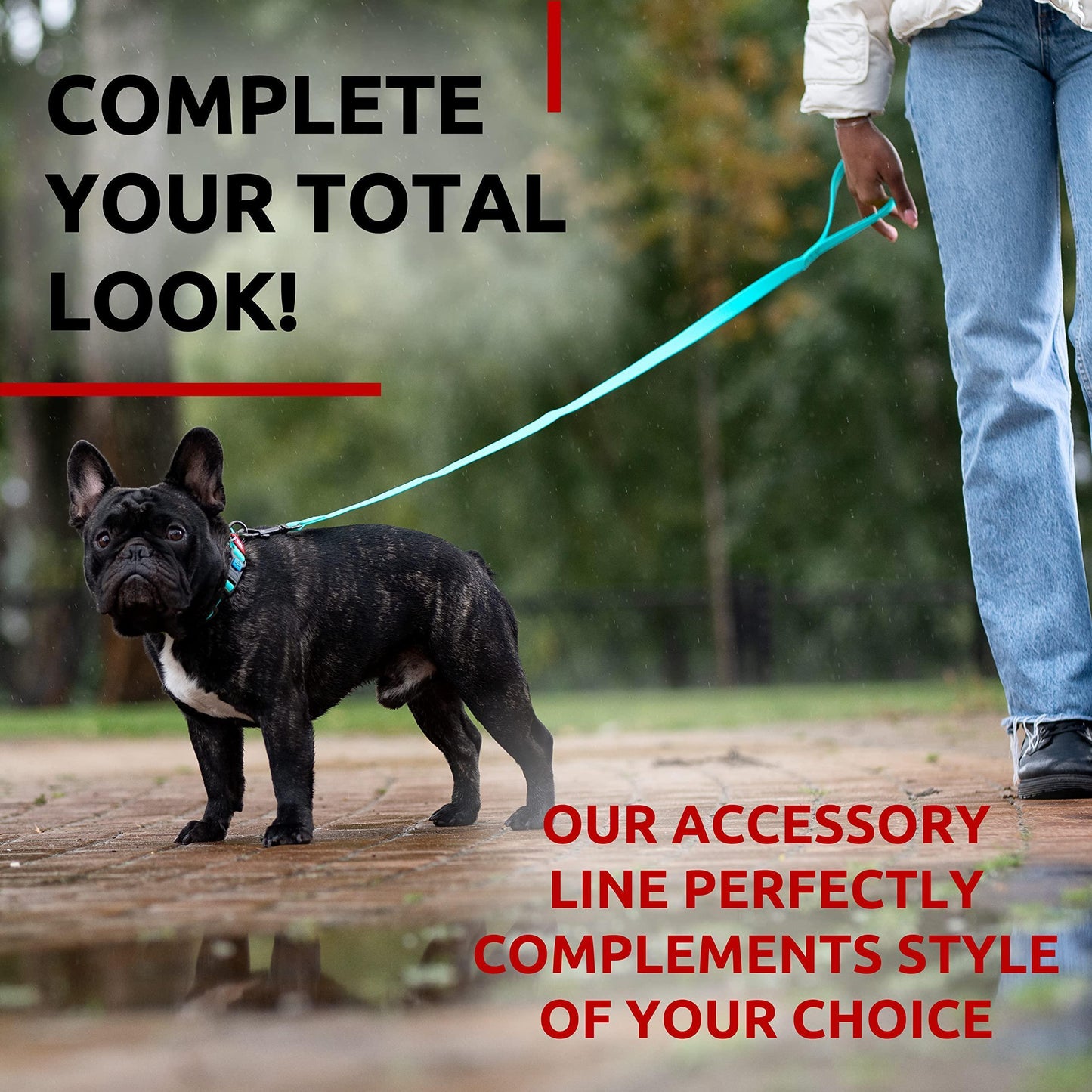 Waterproof Dog Leash 4 Ft   6 Ft   Anti Slip Dog Leash for Large Dogs Small and For Pet With Love