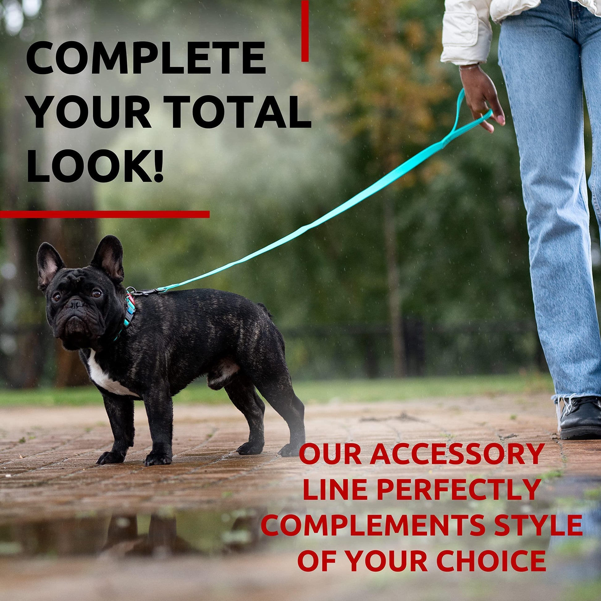 Waterproof Dog Leash 4 Ft   6 Ft   Anti Slip Dog Leash for Large Dogs Small and For Pet With Love