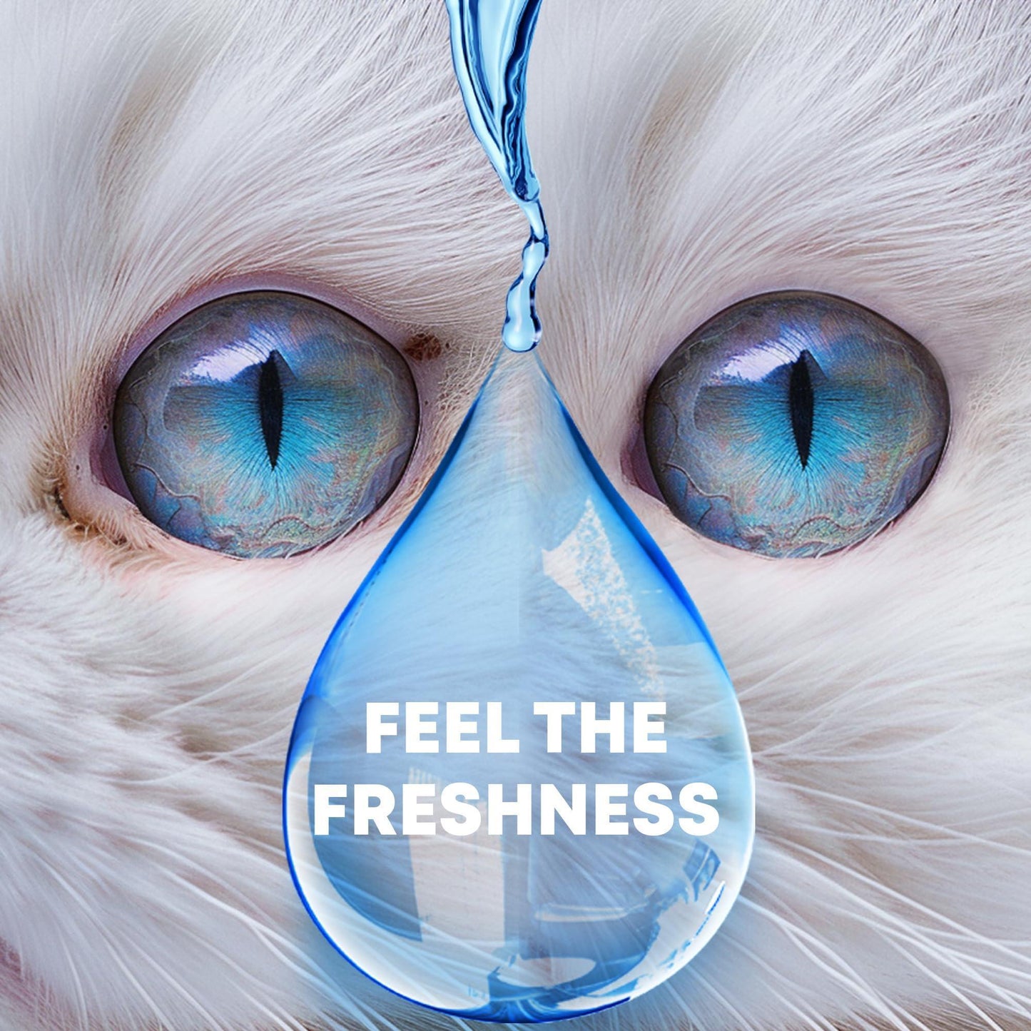 Beloved Pets Cat & Dog Eye Wash Drops & Tear Stain Remover 3.4 Oz For Pet With Love