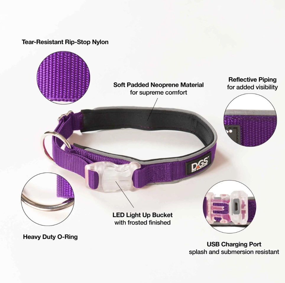 DGS Pet Products Comet Rechargeable Light Up Dog Collar Medium Purple 16 - 20 x 0.75 For Pet With Love