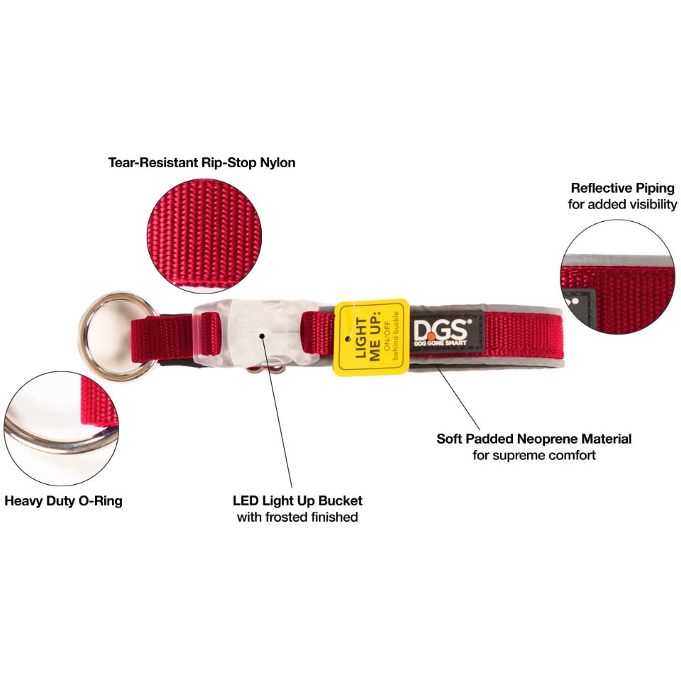 DGS Pet Products Comet Rechargeable Light Up Dog Collar Large Red 20 - 25 x 1 For Pet With Love