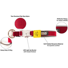 Load image into Gallery viewer, DGS Pet Products Comet Rechargeable Light Up Dog Collar Medium Red 16 - 20 x 0.75
