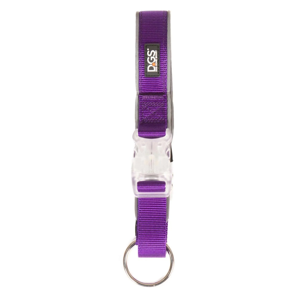 DGS Pet Products Comet Rechargeable Light Up Dog Collar Large Purple 20 - 25 x 1 For Pet With Love