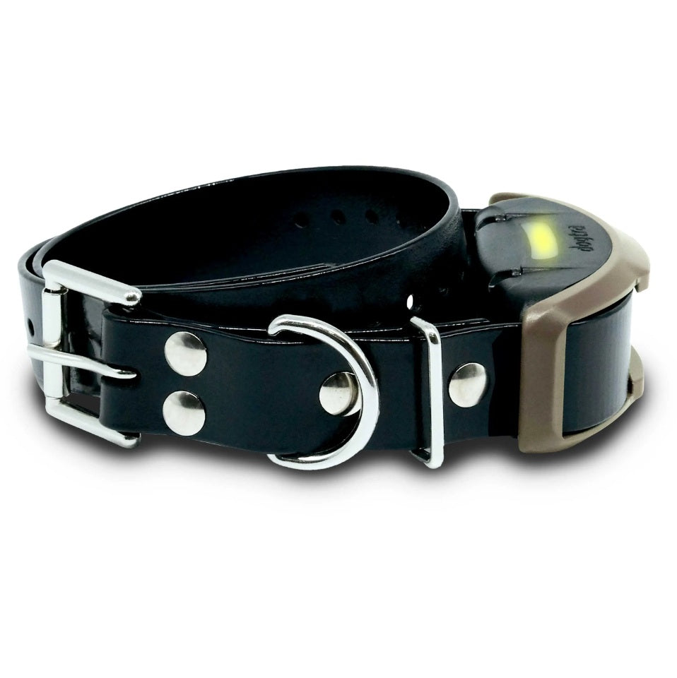 Dogtra Remote Dog Trainer 3/4 Mile Expandable Black For Pet With Love