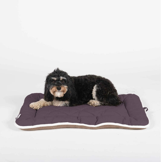 DGS Pet Products Pet Cotton Canvas Sleeper Cushion Extra Extra Large Pebble Grey 30 x 48 x 1 For Pet With Love