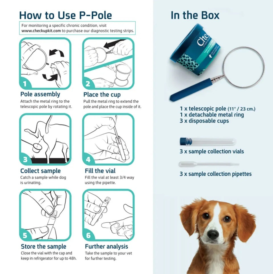 Coastline Global P-Pole Dog Urine Sample Collection Kit 3 x 7 x 8.5 For Pet With Love