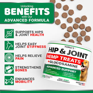 YUMA'S Hemp and Glucosamine Hip and Joint Support Supplement for Dogs. 170 Chews