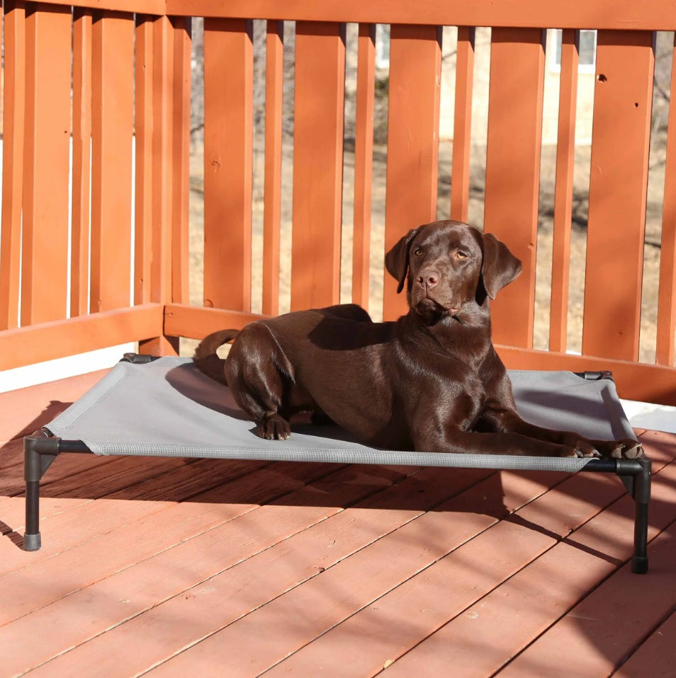 K&H Pet Products All Weather Pet Cot Large Gray 30 x 42 x 7 For Pet With Love