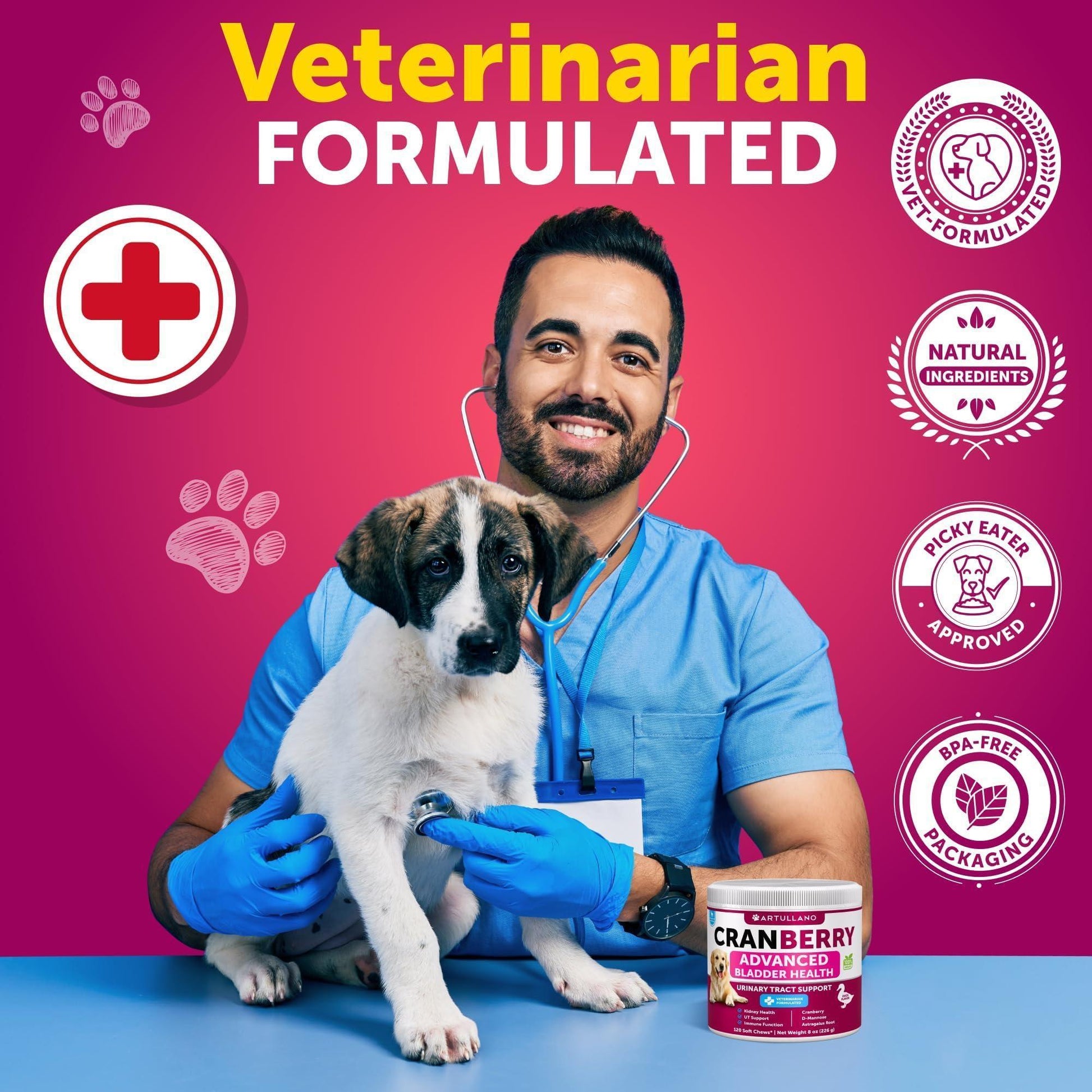 Artullano Advanced Bladder Health UTI Cranberry Treatment and Bladder Control Supplement for Dogs. Provides Kidney Support. Bladder Stones, Urinary Tract Infection, Incontinence Treatment (2 Pack) 240 Chews For Pet With Love