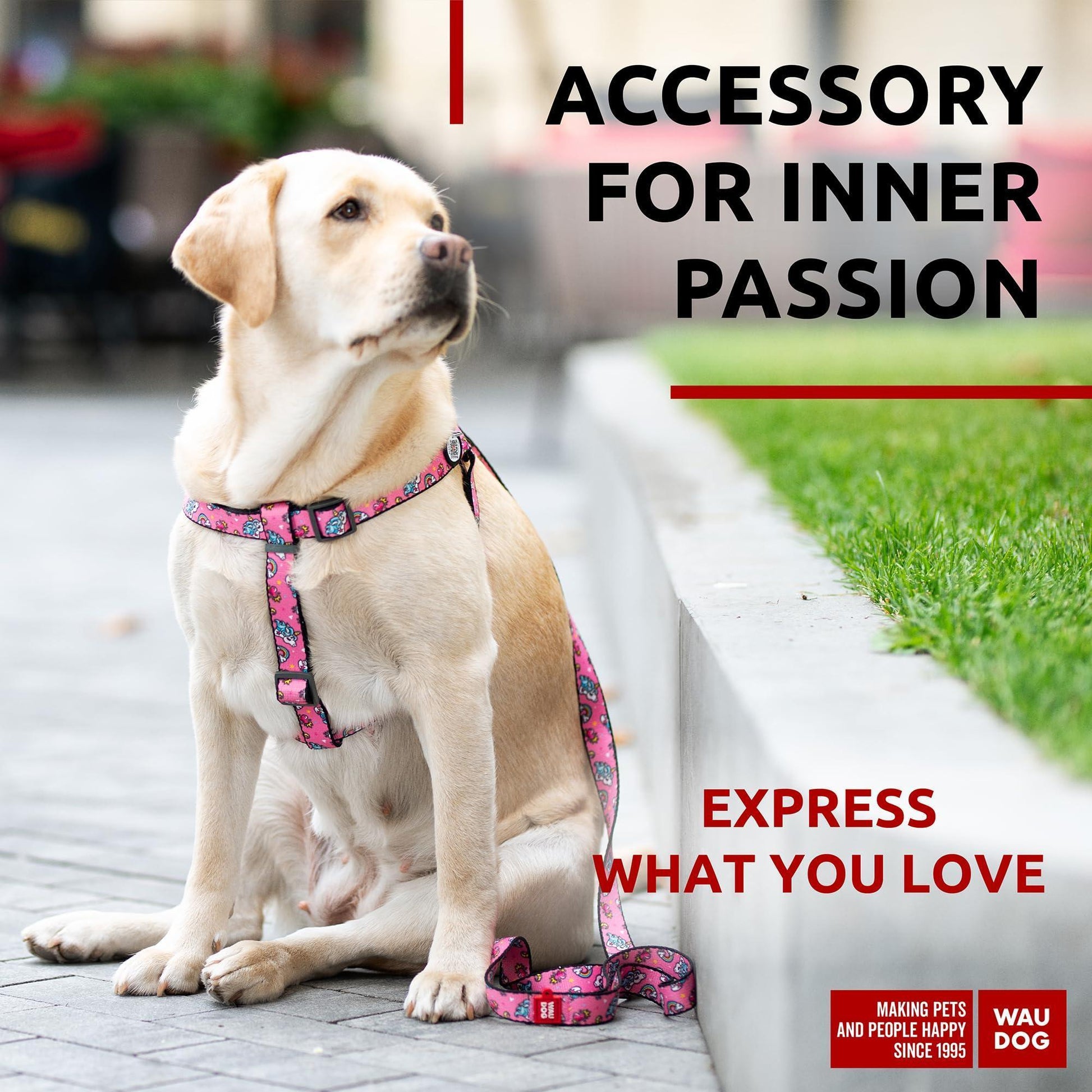 Nylon Dog Leash for Small Dogs and Medium Dogs 4 Ft   Strong Dog Leash for For Pet With Love