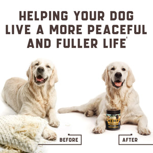Kinpur Pet Care Calming Chews for Dogs with Hemp Oil (180 count)