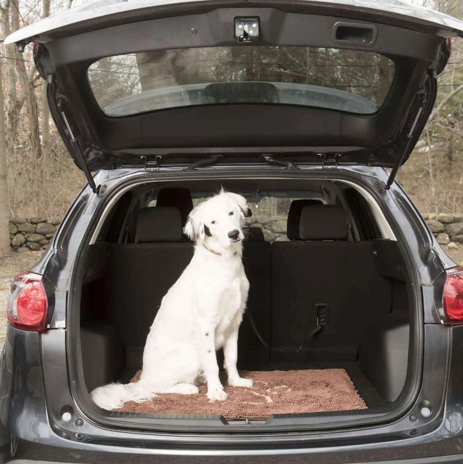 DGS Pet Products Dirty Dog Door Mat Small Mocha Brown 23 x 16 x 2 For Pet With Love