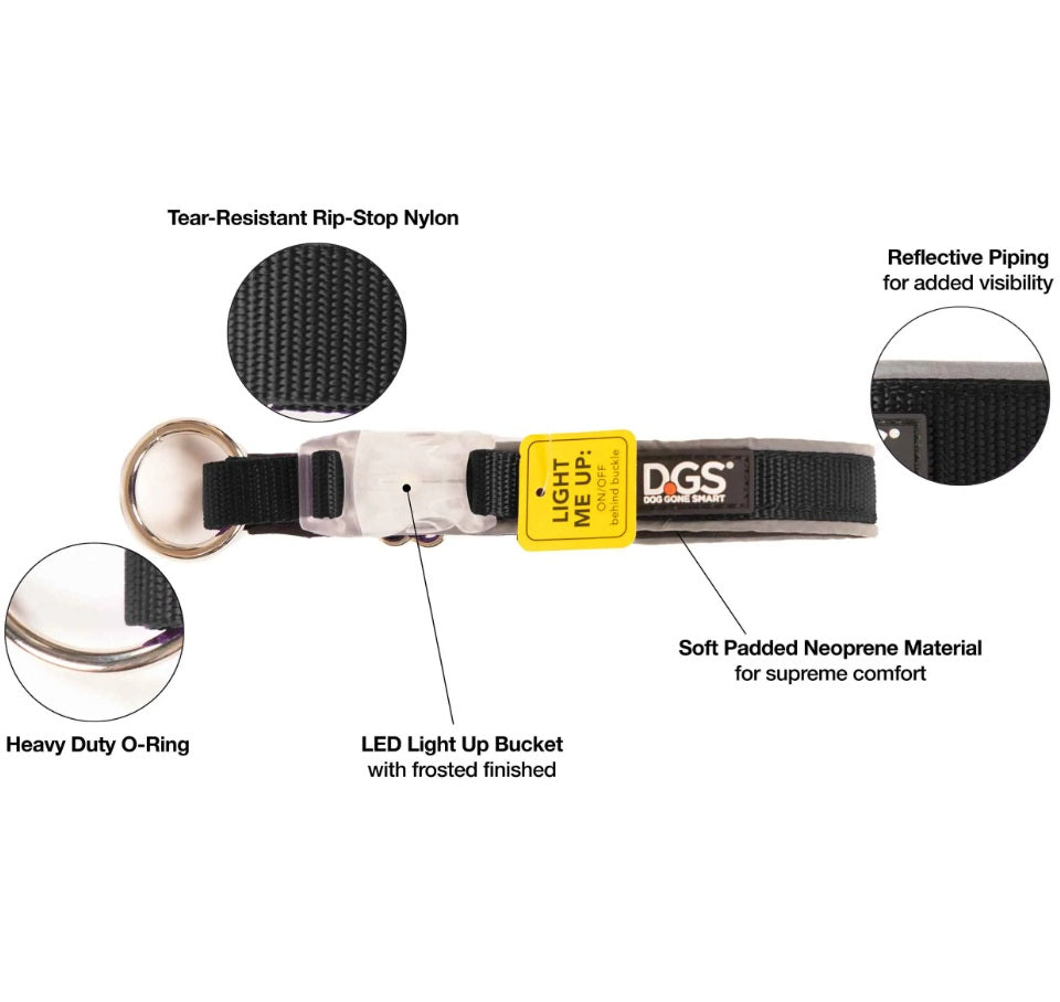 DGS Pet Products Comet Rechargeable Light Up Dog Collar Large Black 20 - 25 x 1 For Pet With Love