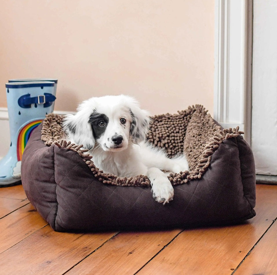 DGS Pet Products Dirty Dog Lounger Bed Extra Large Brown 37 x 31 x 10 For Pet With Love