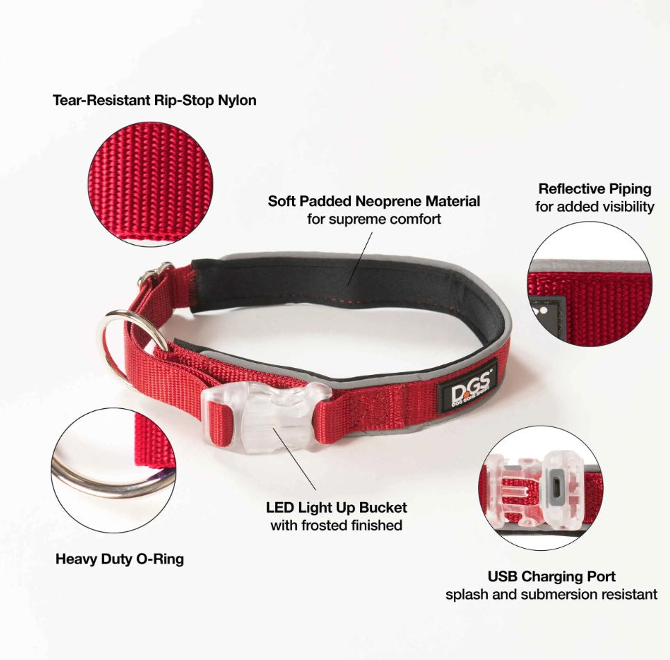 DGS Pet Products Comet Rechargeable Light Up Dog Collar Large Red 20 - 25 x 1 For Pet With Love