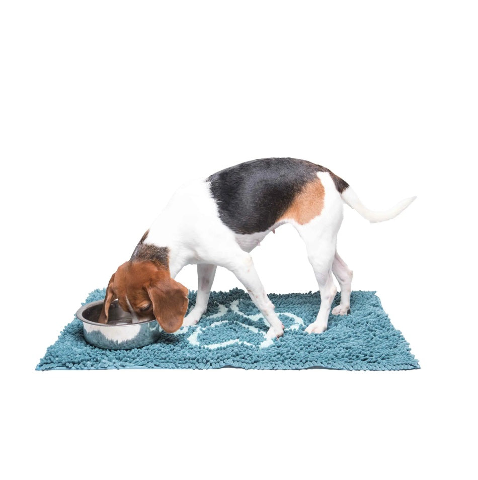 DGS Pet Products Dirty Dog Door Mat Large Pacific Blue 35 x 26 x 2 For Pet With Love