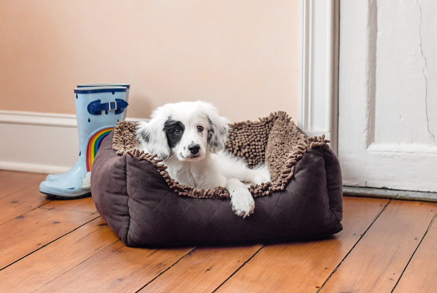 DGS Pet Products Dirty Dog Lounger Bed Large Brown 31 x 27 x 9 For Pet With Love