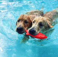 Load image into Gallery viewer, Ruff Dawg Flying Fish Dog Toy 9.5 x 3 x 1 For Pet With Love
