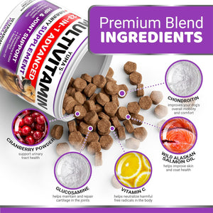 YUMA'S Dog 23 IN 1 Multivitamin Chewable Hip & Joint Supplement with Glucosamine 170 Treats