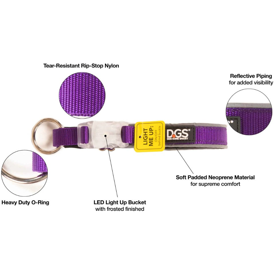 DGS Pet Products Comet Rechargeable Light Up Dog Collar Medium Purple 16 - 20 x 0.75 For Pet With Love