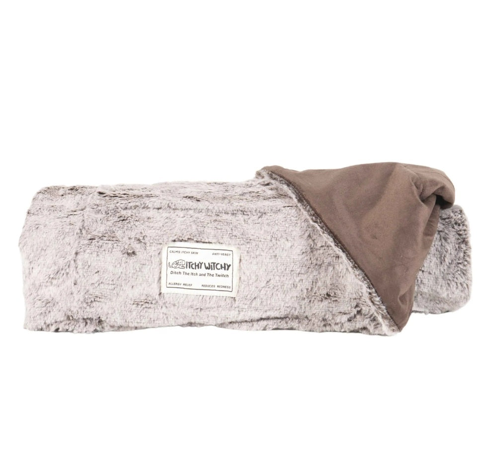 DGS Pet Products Itchy Witchy Essential Oils Blanket Large Chocolate Truffle 40 x 50 x 0.5 For Pet With Love