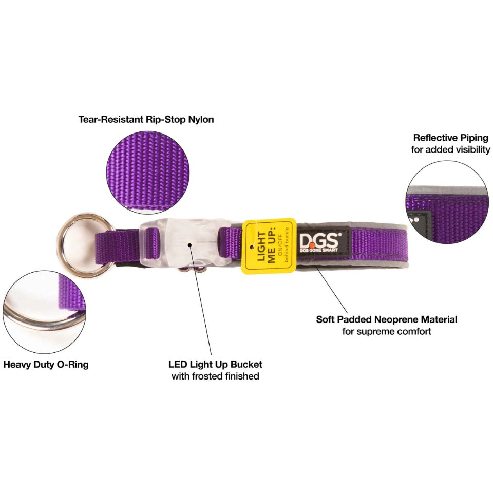 DGS Pet Products Comet Rechargeable Light Up Dog Collar Large Purple 20 - 25 x 1 For Pet With Love